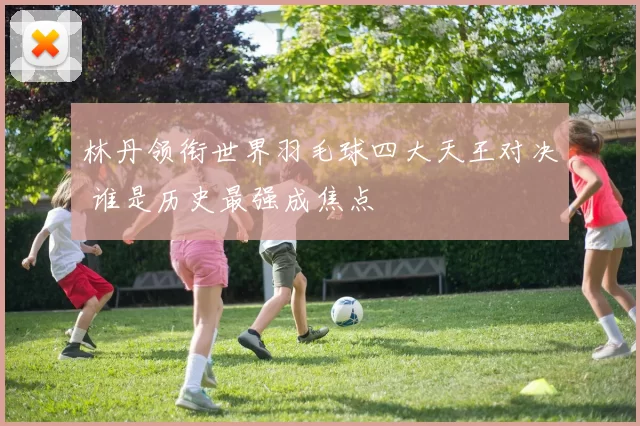 林丹领衔世界羽毛球四大天王对决 谁是历史最强成焦点