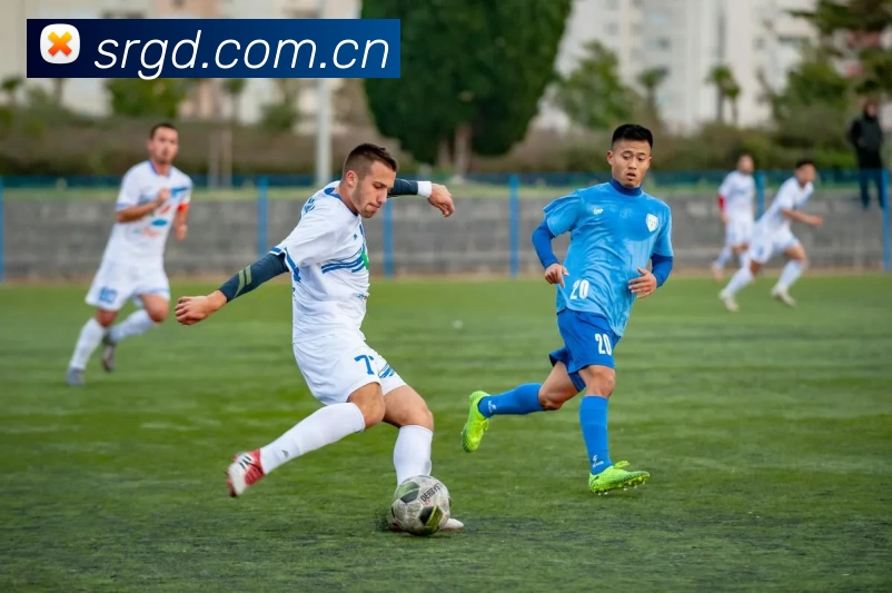 乐动在线官网 - 乐动(中国)平台生态图